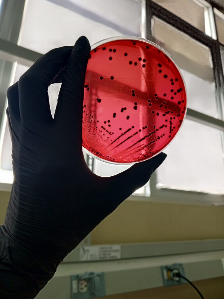 IMG_20250514_124158_113